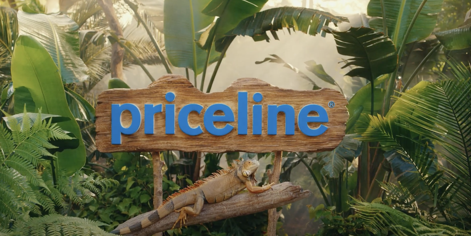 Priceline sign-plants-iguan...
